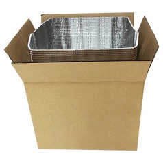 Dry Ice Insulated Box