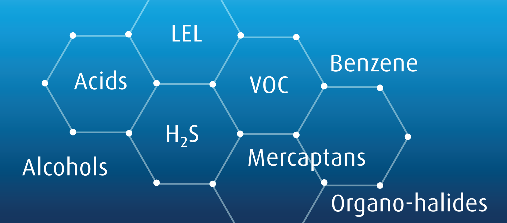 IN2ERT™ Accelerated Purging and Decontamination Services
