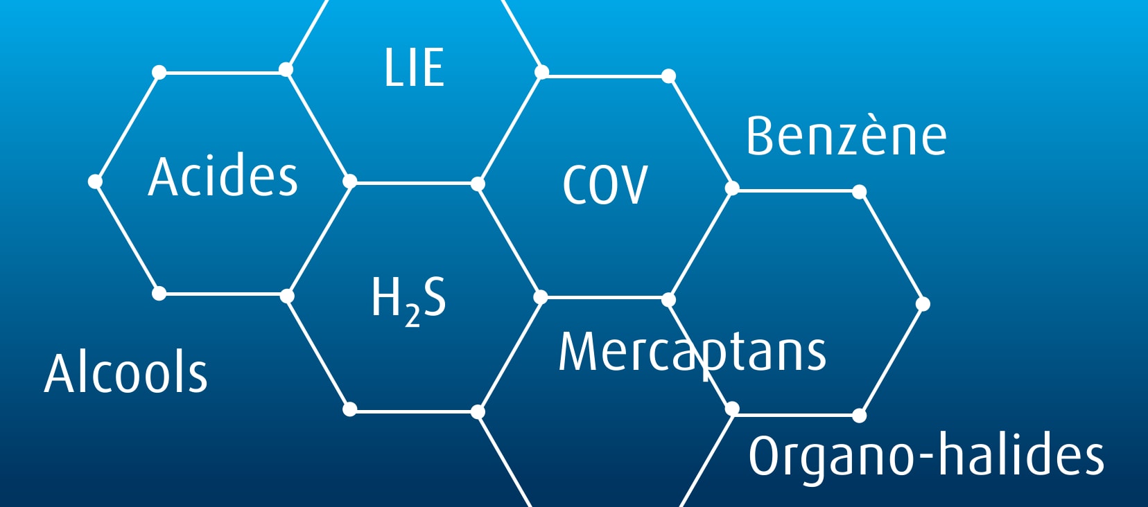 Des mélanges sur mesure de purge et de nettoyage : Acides, Alcools, Benzène, Composés organohalogénés, COV, H₂S, LIE, Mercaptans
