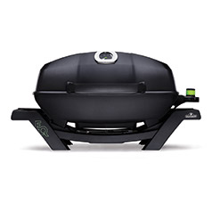 Elektrogrills