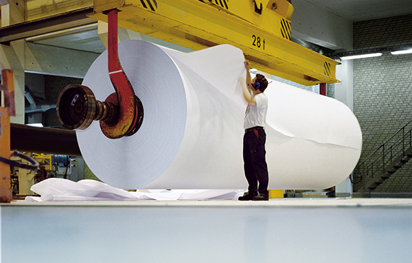 Man inspects paper rolls of a paper processing machine