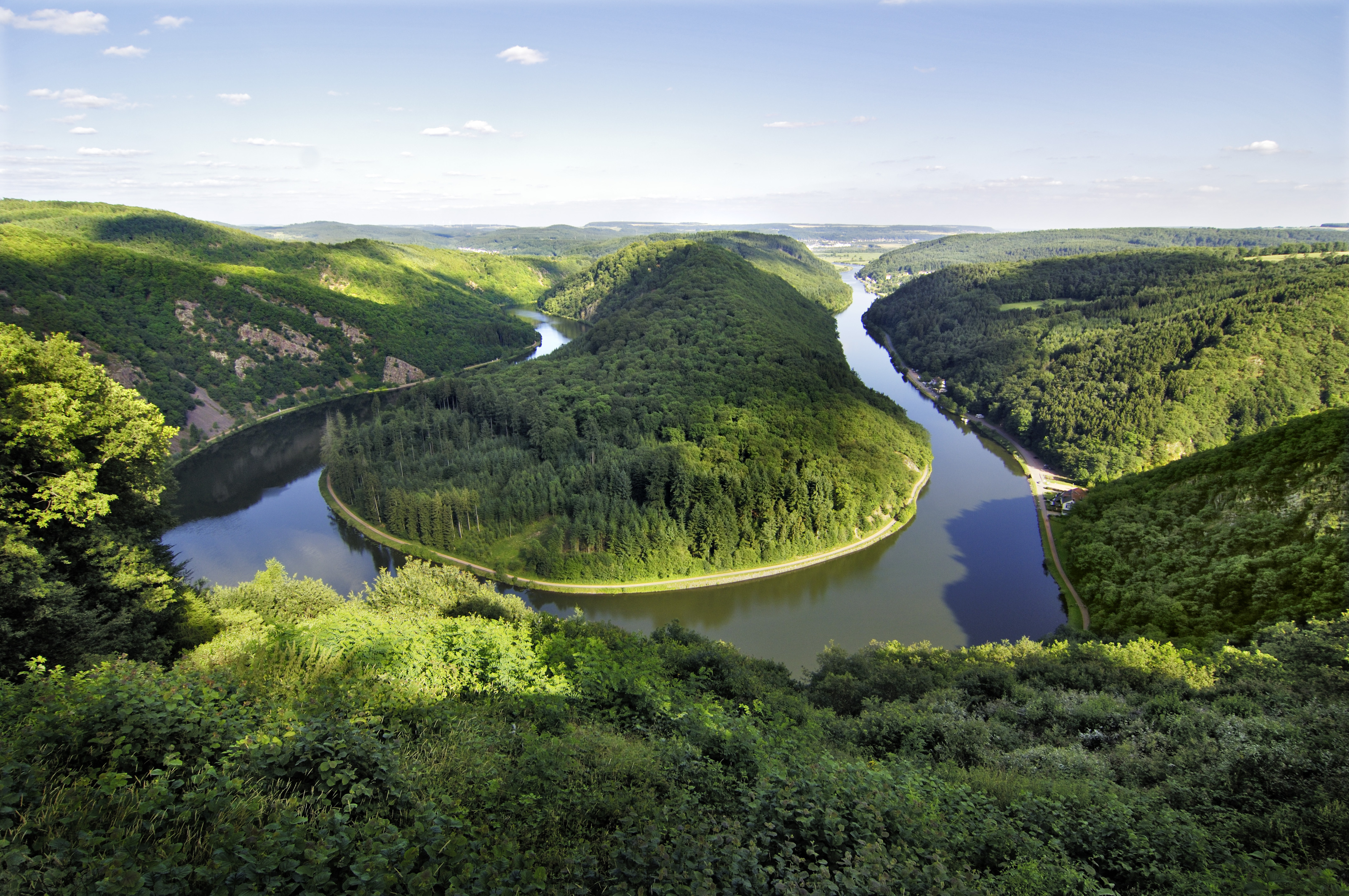 Une rivière dans la forêt
