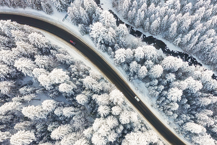Verschneite Landschaft mit einer einsamen Straße, umgeben von schneebedeckten Bäumen im Winter
