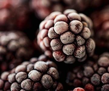 imagen de alimentación