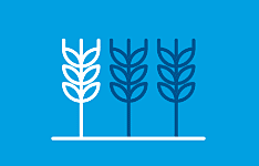  Icono de los rendimientos de la cosecha 