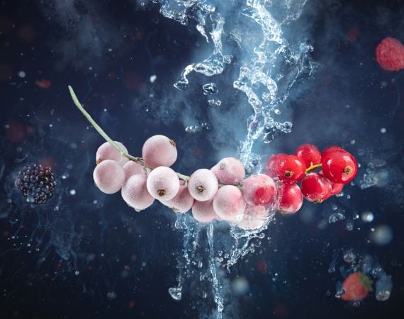 rote Johannisbeeren in der Luft. Linke Seite mit flüssigem Stickstoff halb eingefroren