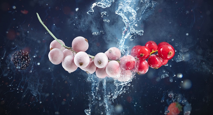 imagen de industria alimentaria