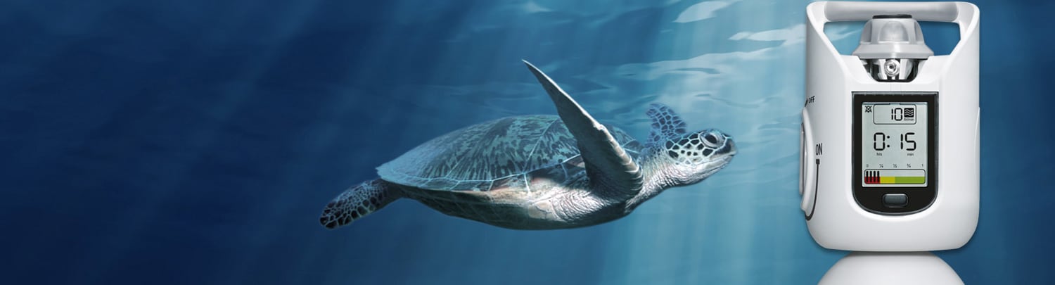 photo d'une tortue nageant et d'une bouteille d'oxygène