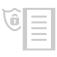 Security Statement Icon