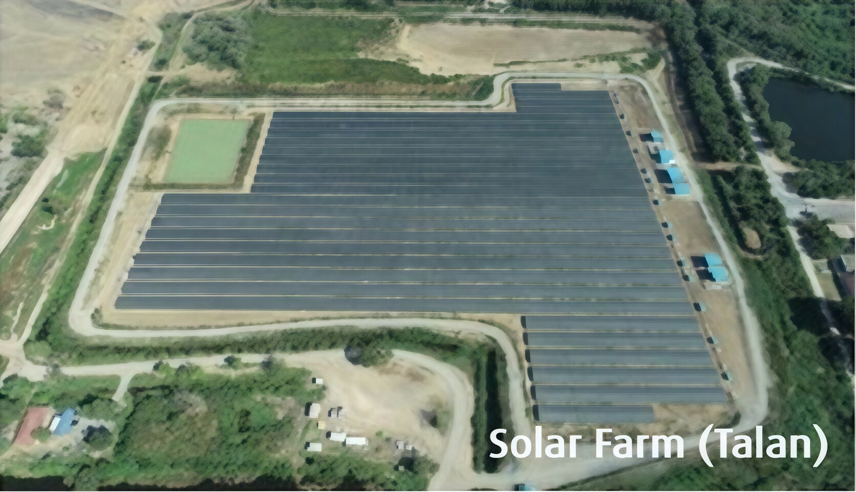 Solar Farm Earth Week at Talan