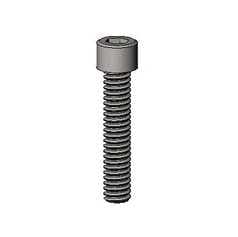 SCREW,SKT HD CAP 1/4-20X 1-1/4” LG,18-8 SST